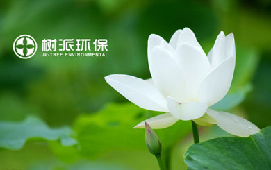 瀘州樹派環(huán)?？萍加邢薰?/></p>
                    <p class=